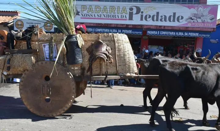 Festa de Nossa Senhora da Piedade em Felixlândia, Tradição e Cultura 