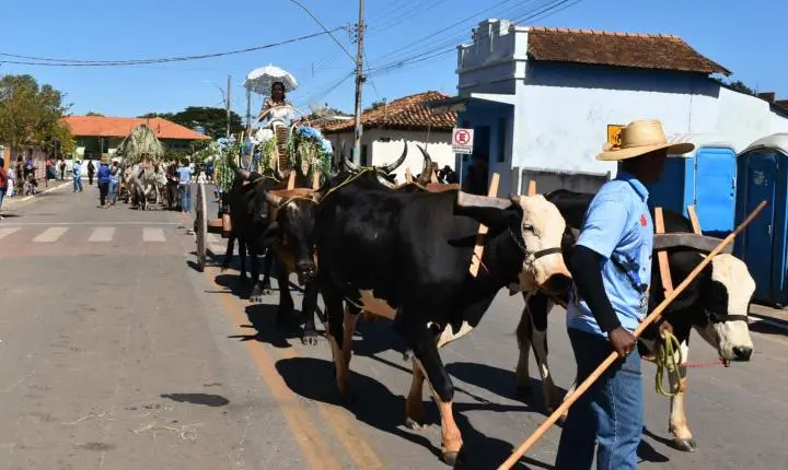 Festa de Nossa Senhora da Piedade em Felixlândia, Tradição e Cultura 