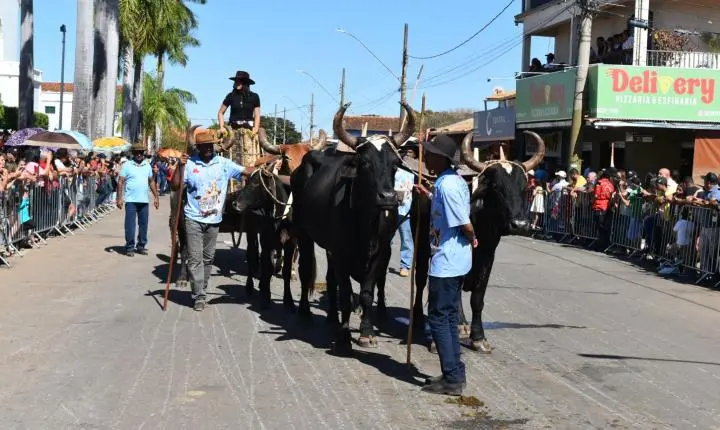Festa de Nossa Senhora da Piedade em Felixlândia, Tradição e Cultura 