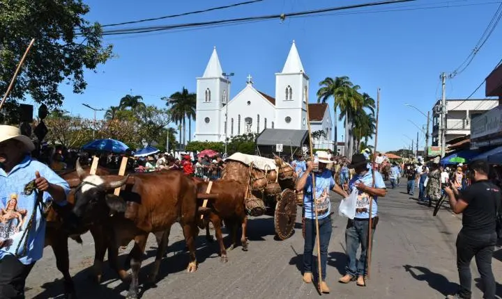 Festa de Nossa Senhora da Piedade em Felixlândia, Tradição e Cultura 